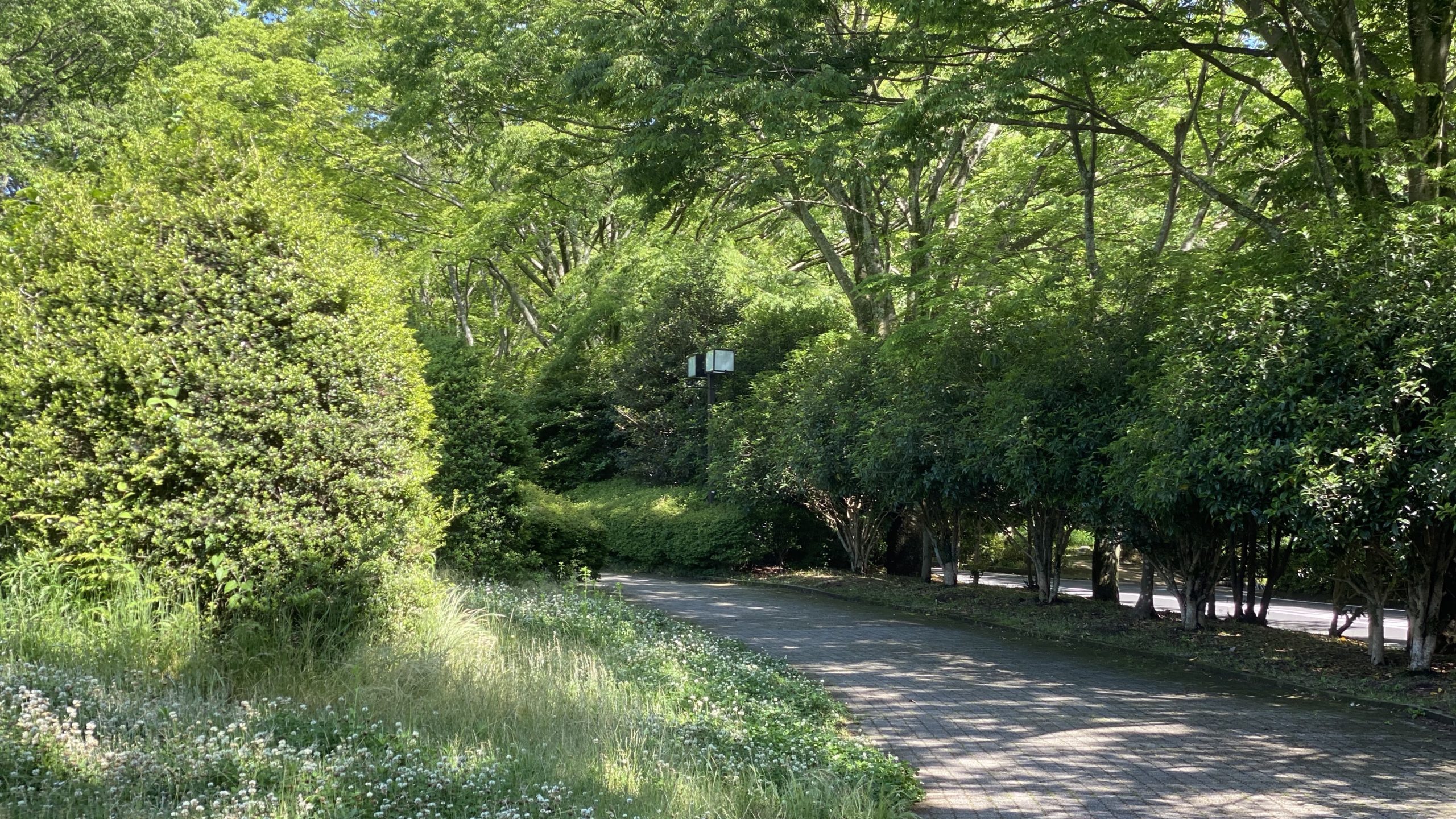 Web制作業界